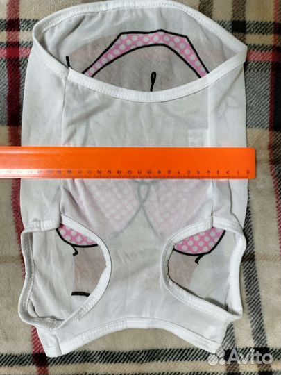 Одежда для собак