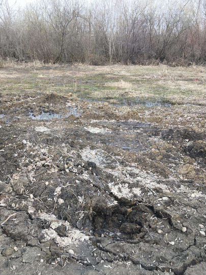 Участок 7 сот. (ИЖС)