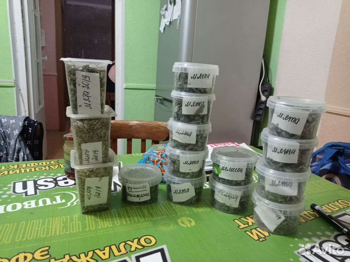 Мята, мелисса