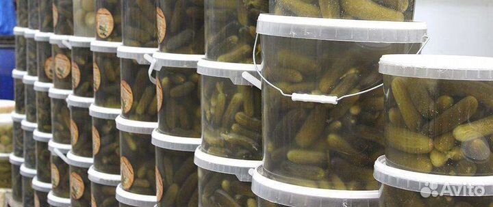 Бочковые соленья. Огурцы. Помидоры. Капуста