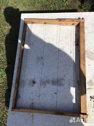 Пчелиная сушь