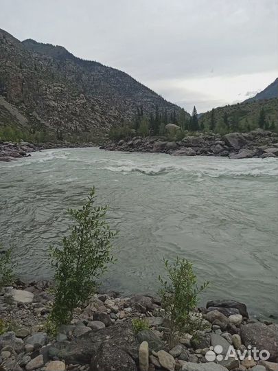 Тур на Алтай 