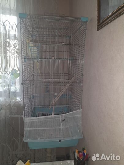 Клетка для попугая корелла