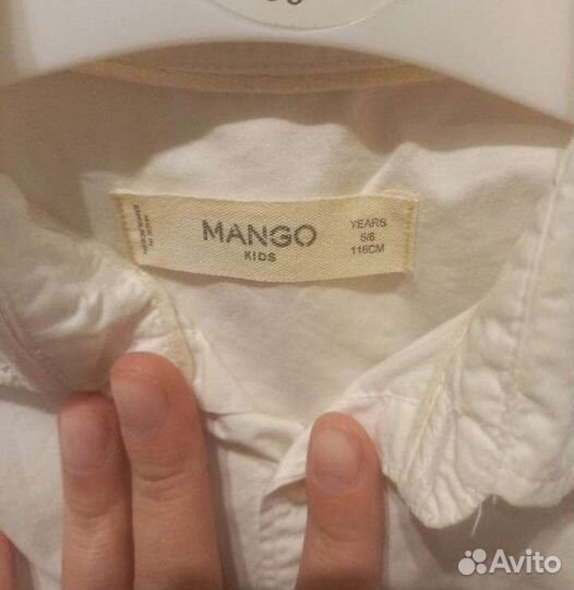 Рубашка для мальчика Mango 116 см, лонгслив 128
