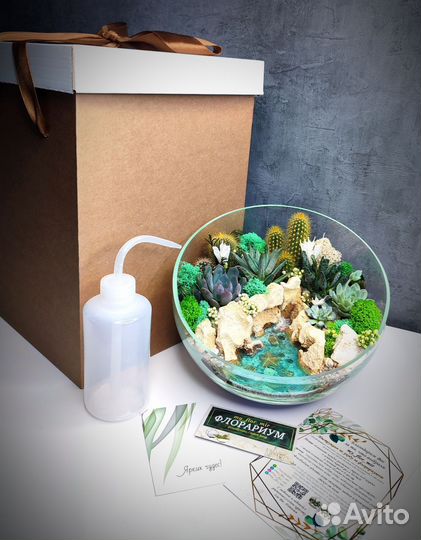 Флорариум подарок любимой