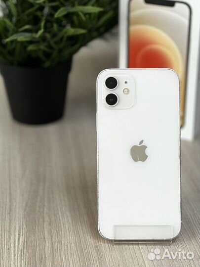 iPhone 12, 128 ГБ