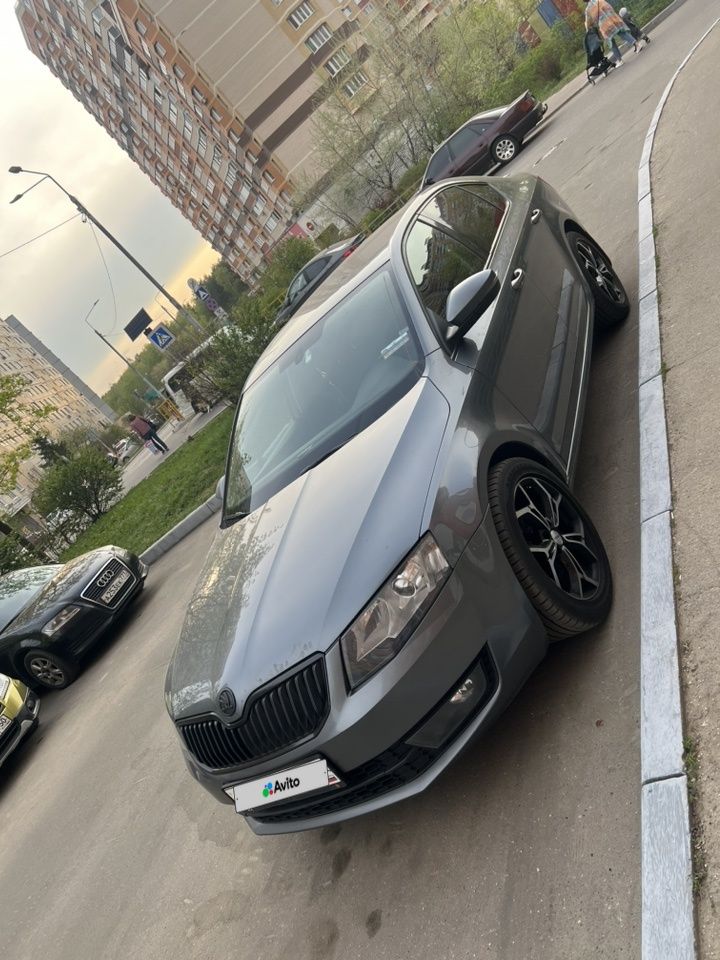 Skoda Octavia: фото владельца