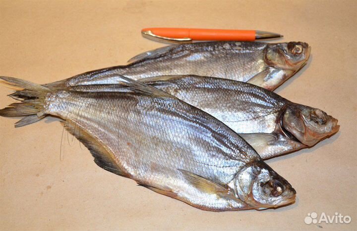 Сопа вяленая. Жирная