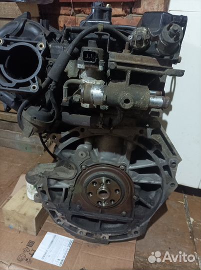 Двигатель ford 2.0 aoda