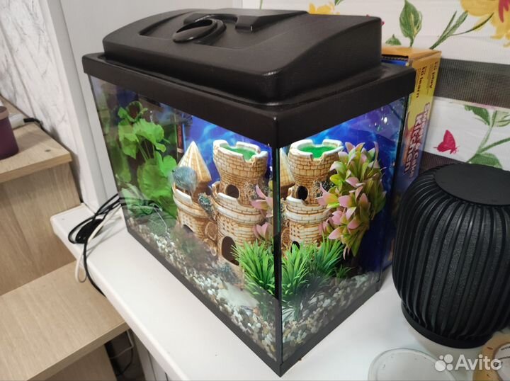Аквариум 25 литров