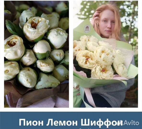 Пионы/Розы/ 9/15/21/51/101