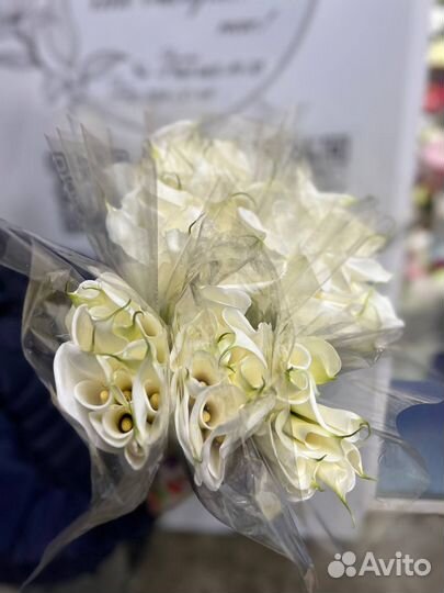 Оптом калла