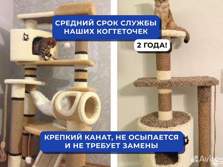 Когтеточка новая / ваш кот одобрит