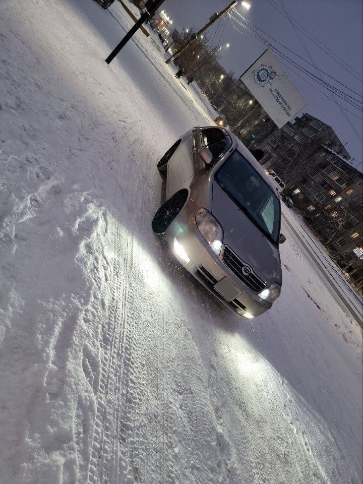 Toyota Corolla: фото владельца