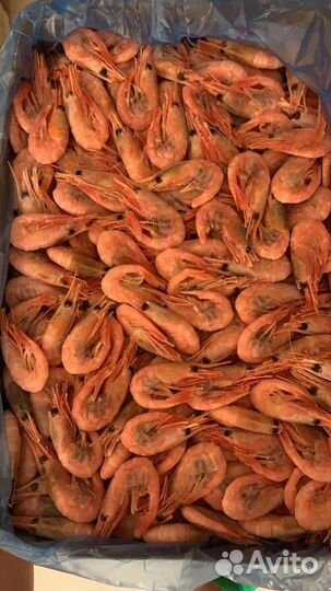 Креветки северные Гренландия 90/120