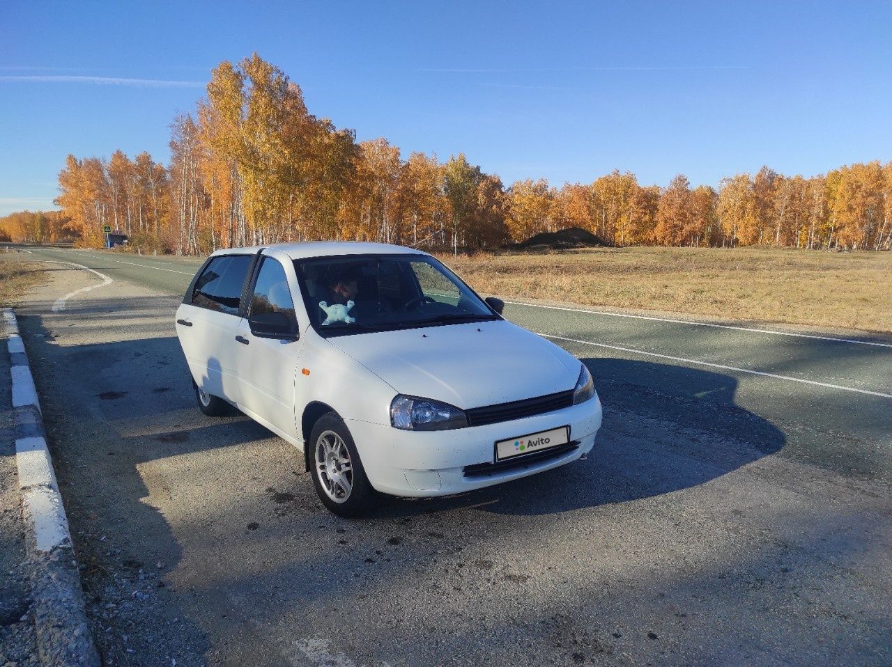ВАЗ (LADA) Kalina: фото владельца