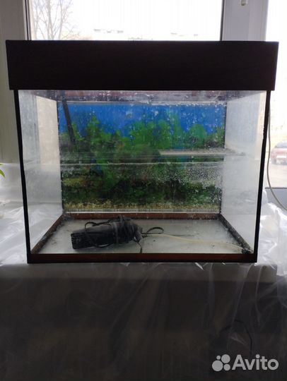 Аквариум