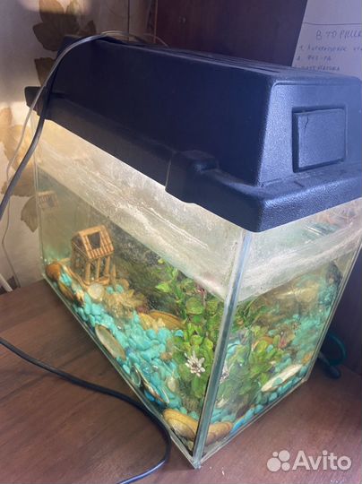 Аквариум с подсветкой