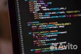 Репетитор по программированию на Python