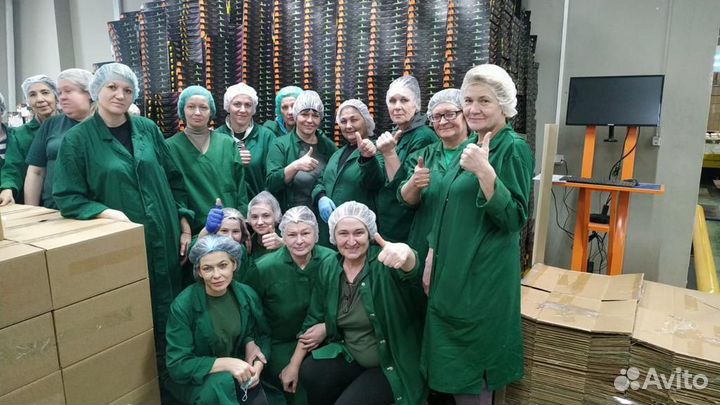 Вахта с проживание в Москве - Наклейщик стикеров