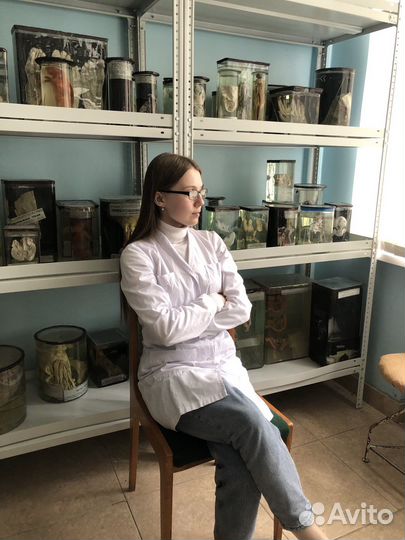 Репетитор по латинскому языку