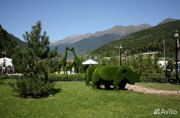 Relax тур на Красную Поляну на 7 нч за 2-х чел