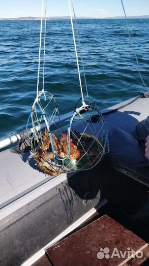 Краболовки