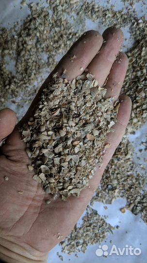 Ракушка кормовая