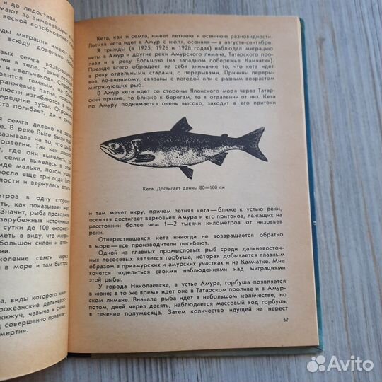 Рассказ о жизни рыб. Правдин. 1972 г