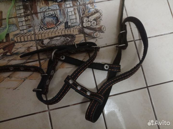 Шлейка для маленькой собаки