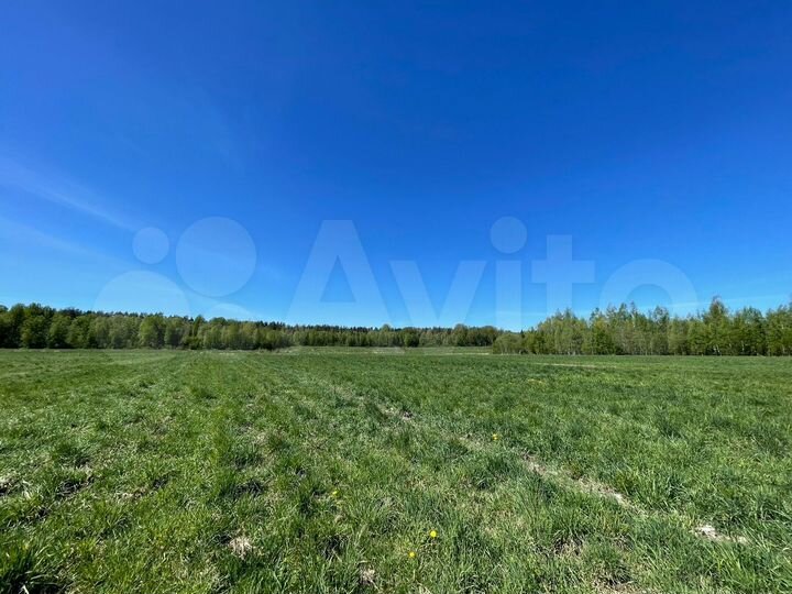 Участок 3 га (СНТ, ДНП)