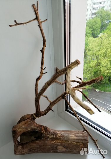 Для аквариумов