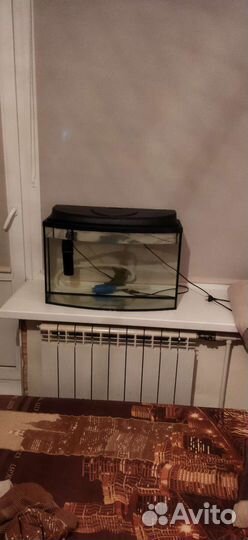 Аквариум