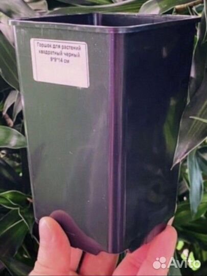 Разные горшки для суккулентов