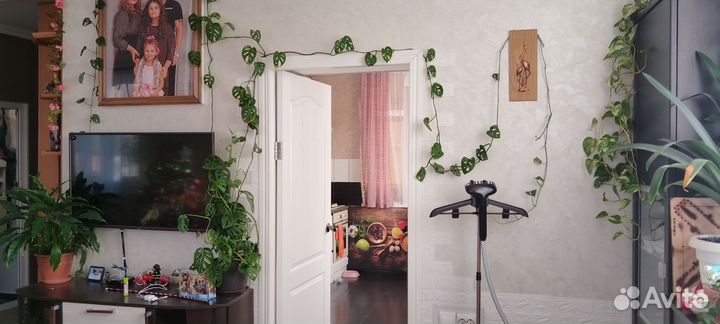 Монстера манки