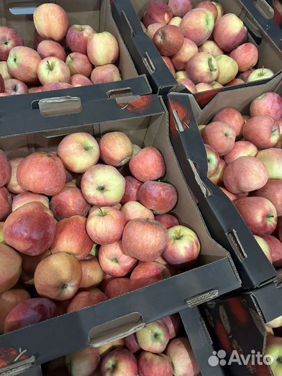 Яблоки оптом