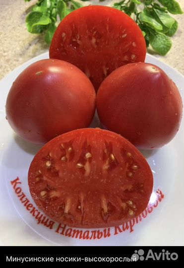 Коллекционные семена томатов