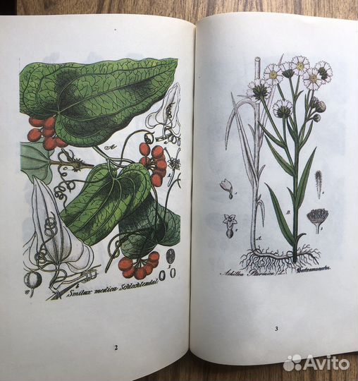 Русский народный лечебник. 1991