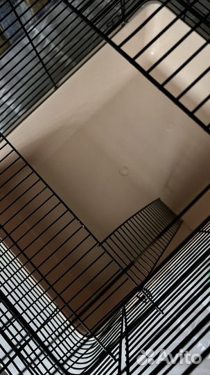 Клетка для крысы