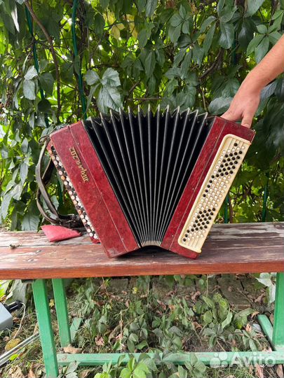 Баян Тула 202