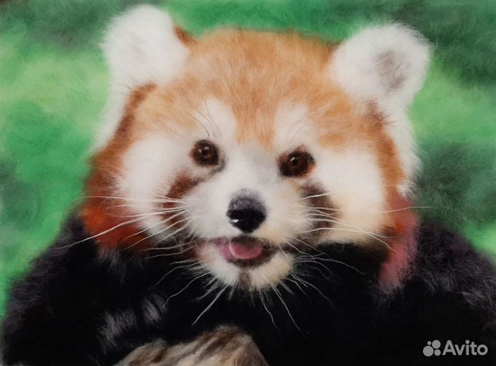 Картина из шерсти - Красная панда