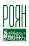 Торговый представитель (разливное пиво)