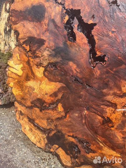 Слэб дерева и спилы