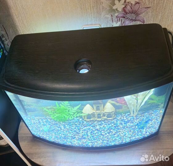 Аквариум