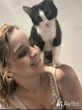 Домашняя передержка кошек на воемя отпуска