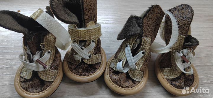 Обувь для маленьких собак