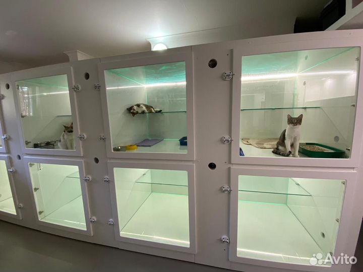 Гостиница для животных / Передержка кошек