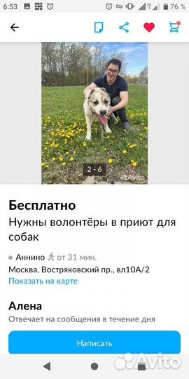 Собака