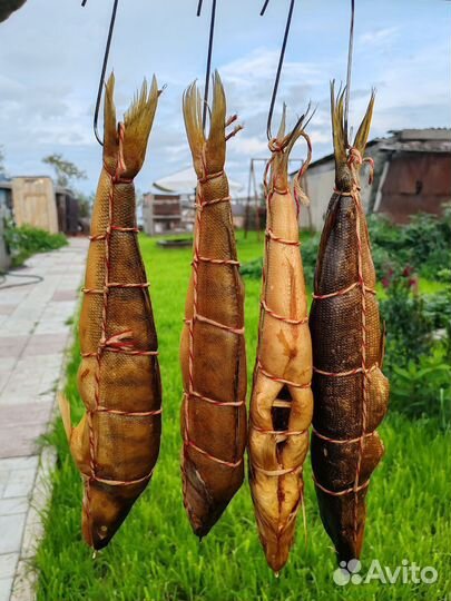 Коптильня семейная 20кг