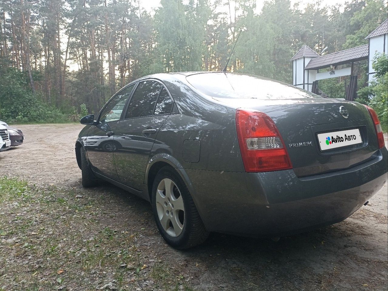 Nissan Primera: фото владельца
